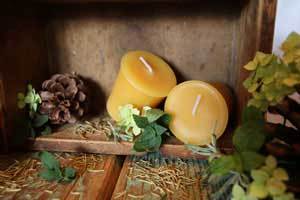 two pure beeswax two inch votive candles in a brown crate with pine cones and green leaves