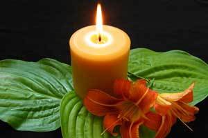 a beautifully burning pure beeswax candles on three large green leaves and an orange lily