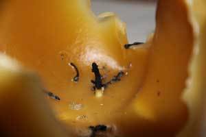 a burnt candle showing burnt pieces of wick 