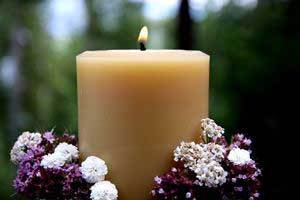 Are You Looking for Cheap Beeswax?