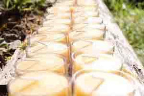 Beeswax Tealight Candles - Things to Know