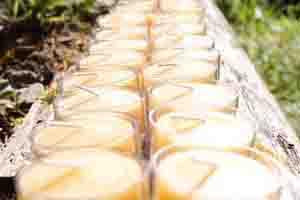 Beeswax Tealight Candles - Things to Know