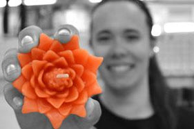 Honey Candles Staff Favorite Candles