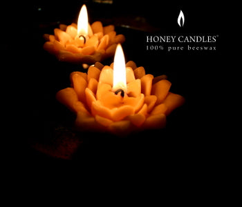 beautiful lotus blossom beeswax candles burning in front of a black backdrop