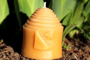 Save the Bees with the Peek-a-Bee Pillar
