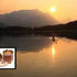 Honey Candles® Beeswax Emergency Candle