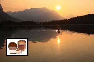 Honey Candles® Beeswax Emergency Candle