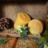 How Do I add Essential Oils to a Beeswax Candle?