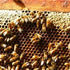How is beeswax made?