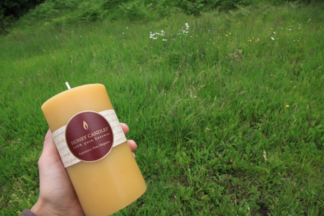 Beeswax pillar in the garden. Sustainable candle option.  