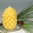 If Burning Beeswax Candles were like Making a Meal They Would Not be 'Fast Food'