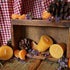 Surprising Things our Customers Tell us About Beeswax Candles
