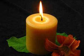 What You Need to Know About Beeswax Candles