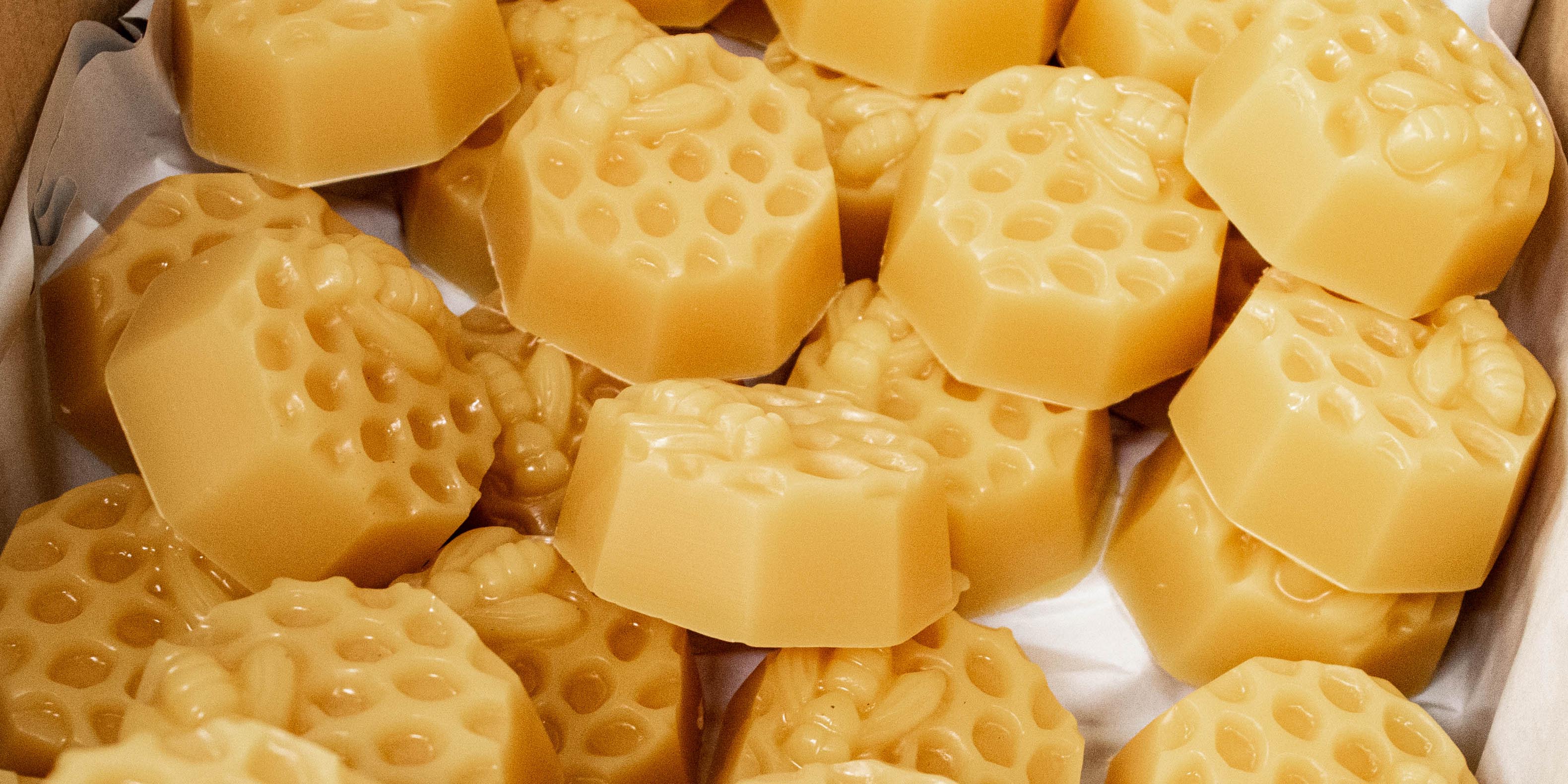 Easy DIY Beeswax Lip Balm – Honey Candles Canada