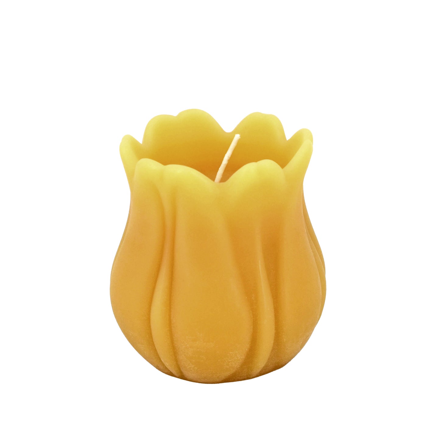 Natural Beeswax Tulip Candle