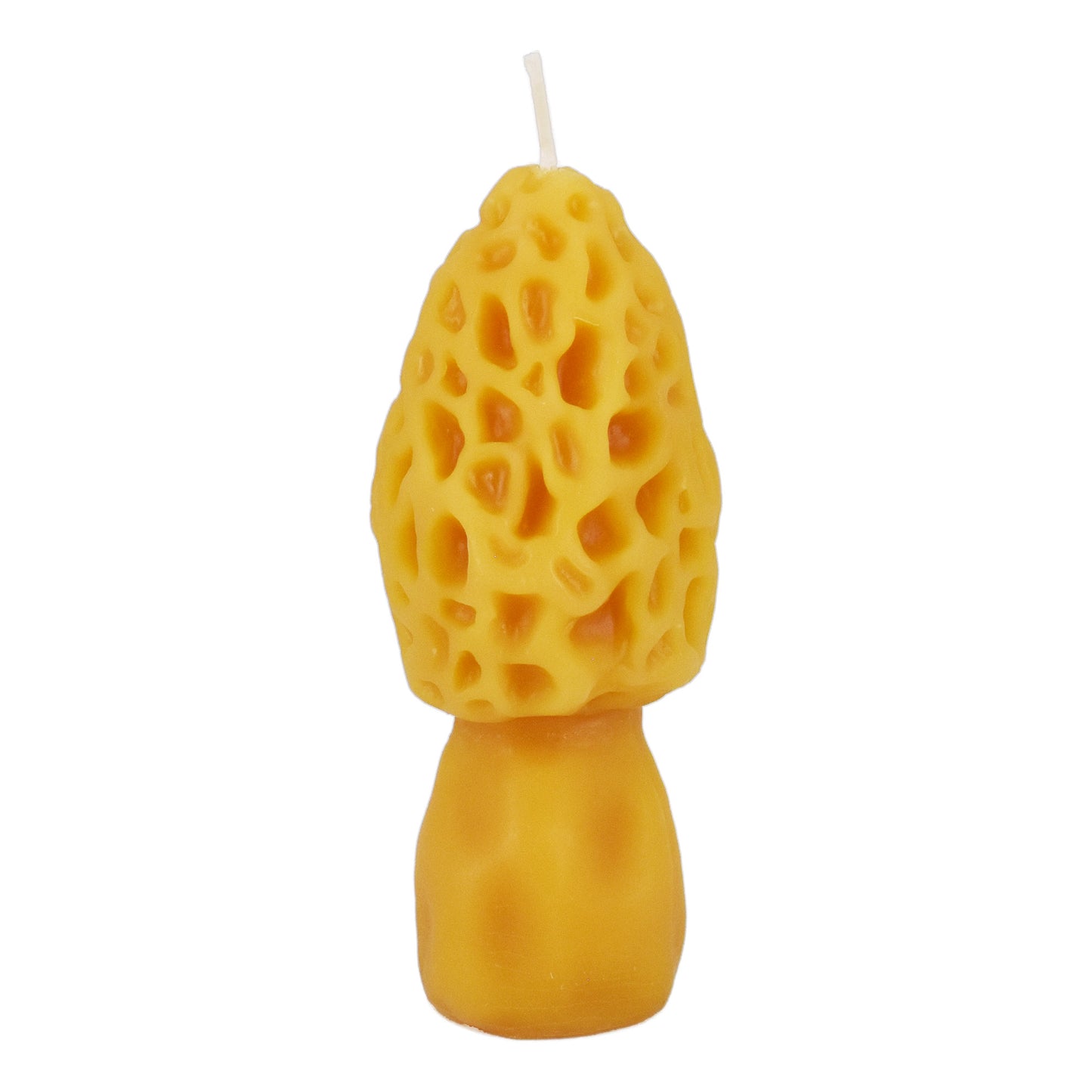 Natural Beeswax Grand Morel Candle