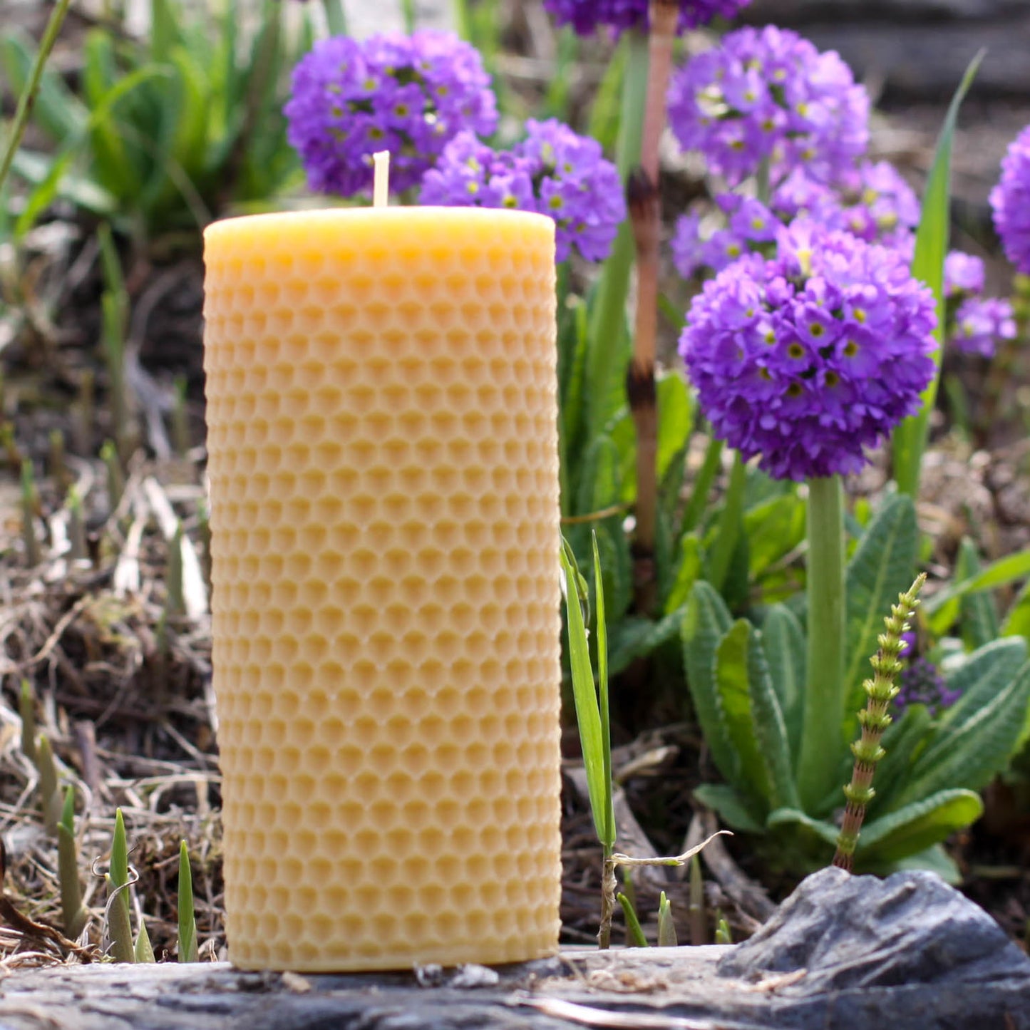 Natural Beeswax Honeycomb Pillar