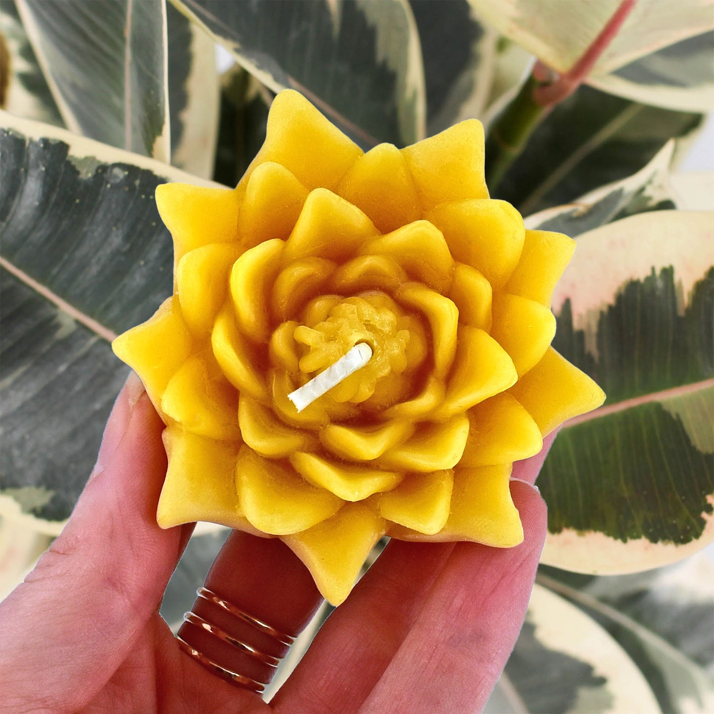 Beeswax Floating Lotus Candle (9 Colours)