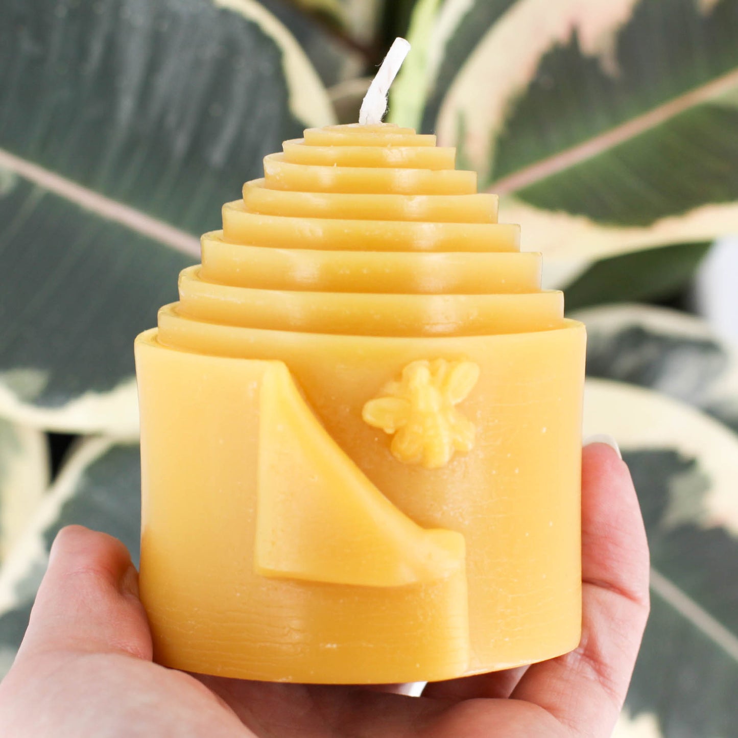 Peek-a-Bee Natural Beeswax Pillar Candle