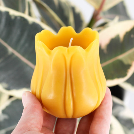 Natural Beeswax Tulip Candle