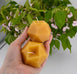 Natural Beeswax Faceted Orb Candle